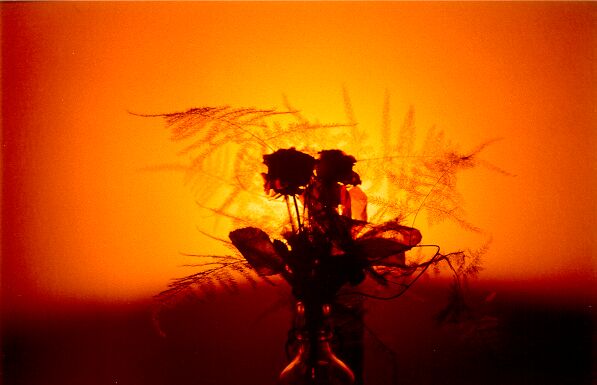 upřímnou soustrast